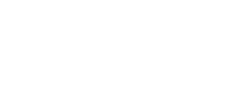 feluma bistrot logo